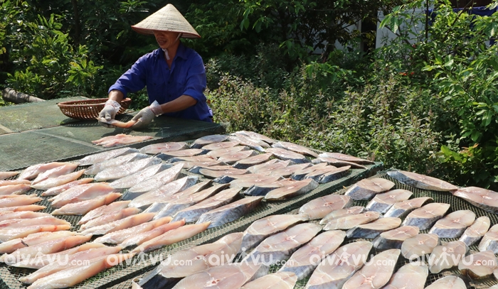 Cá thu một nắng - Côn Đảo